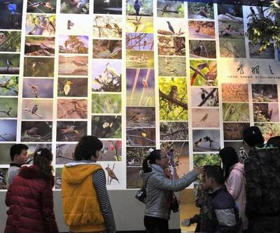 工廠礦山也能變景區？國家工業遺產旅游基地名單出爐 市場營銷策劃篇